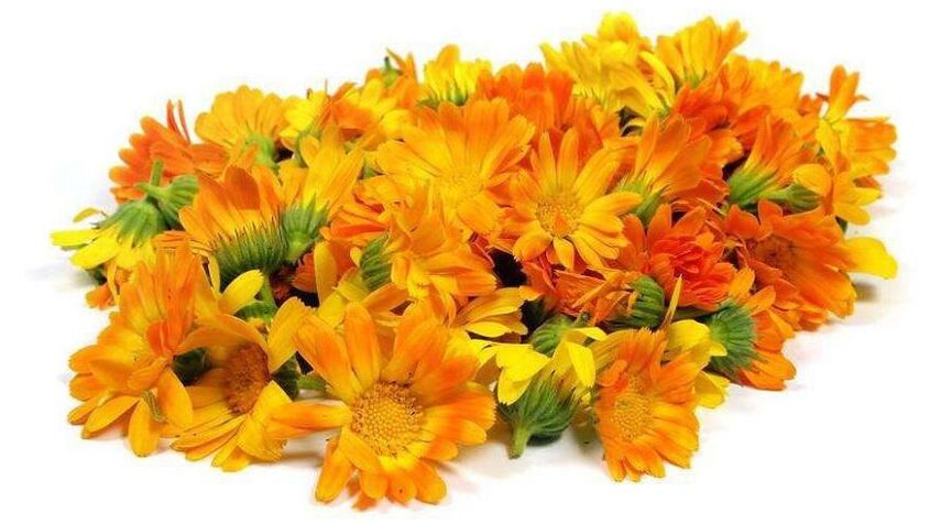 Estratto di calendula nel valore ZXCVBNMQ